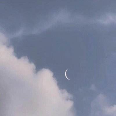 数码宝贝新世纪日服官方版下载
